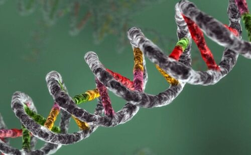 DNA spiral