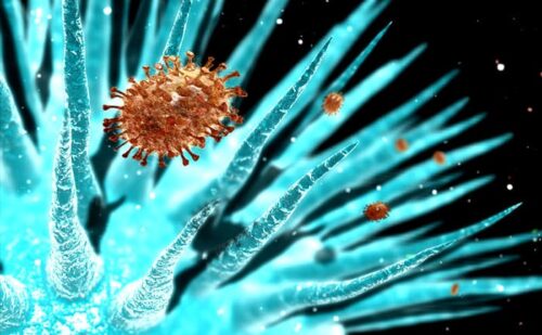 Influensavirus