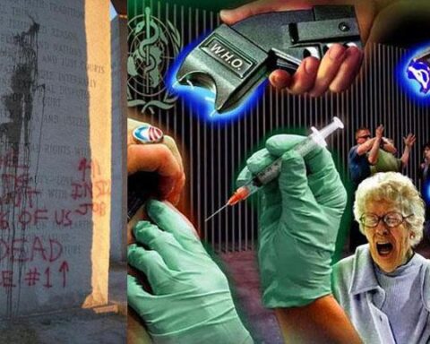 Topp writingatguidestones vaccination WHO