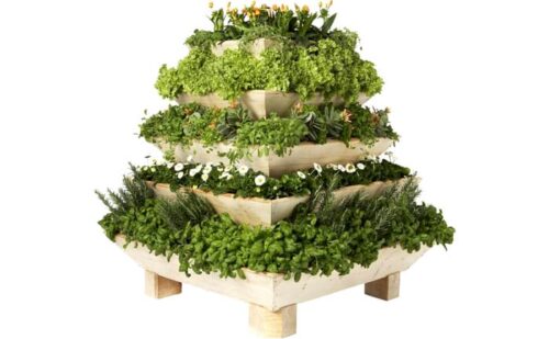 Plantepyramide1