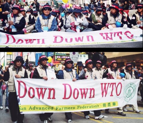 Wto sm