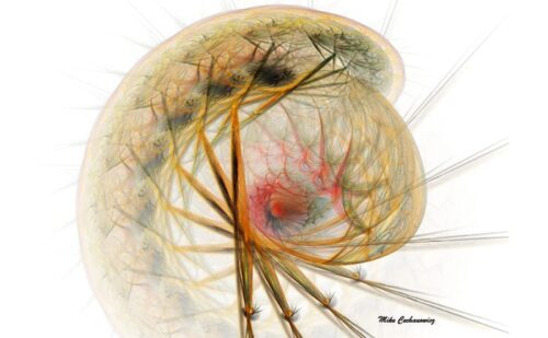 Consciousness3