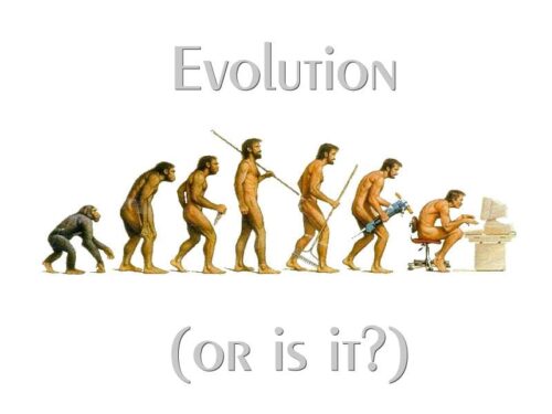 Evolution white