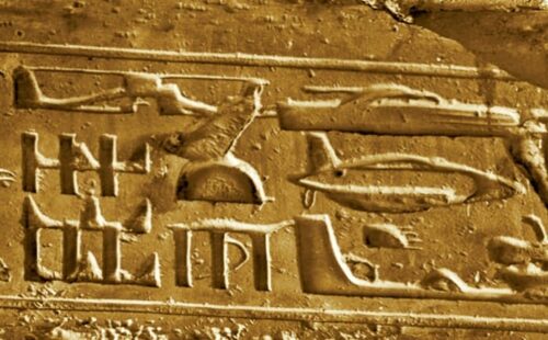Forside