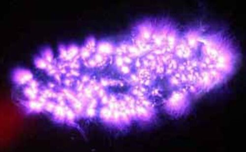 Himmelrensing orgonite kirlian