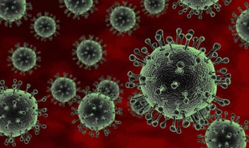 Virus
