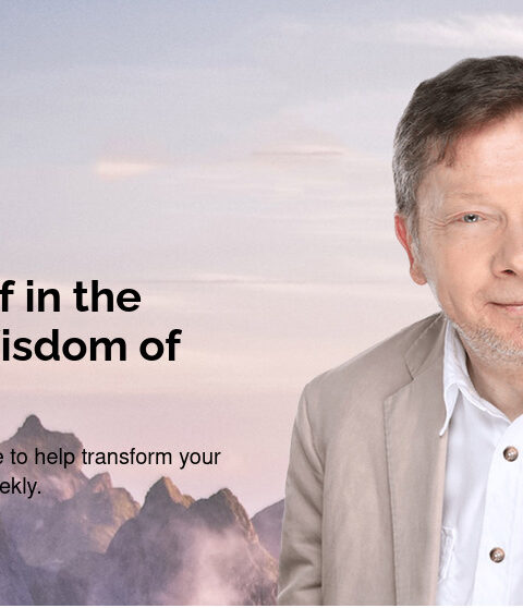 Eckharttollehomepage