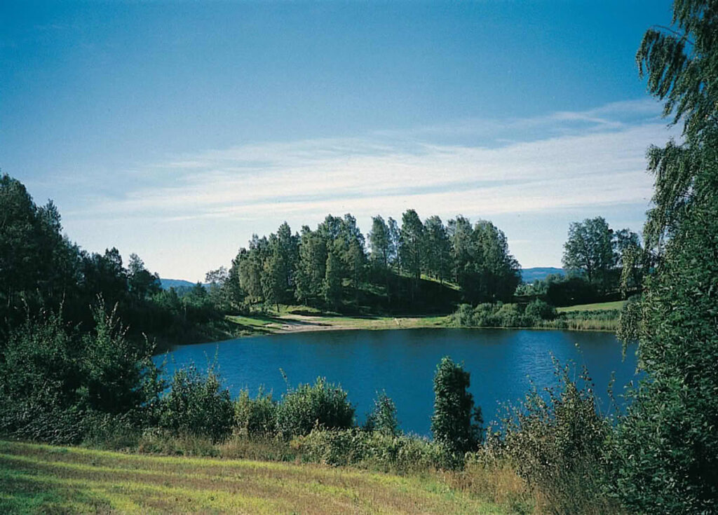 Raknehaugen
