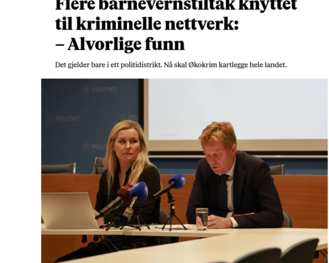 Kriminelleibarnevernet