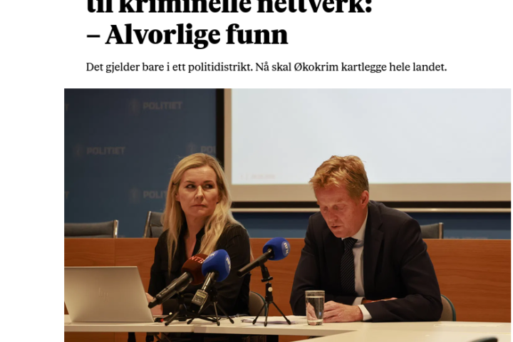 Kriminelleibarnevernet