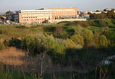 500px Policlinico Universitario Campus Bio Medico visto dal Parco di Decima