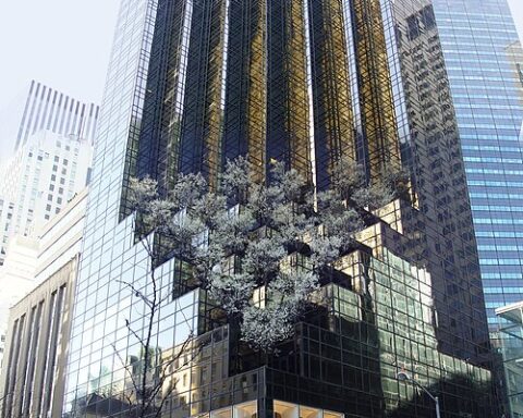 500px Trump Tower